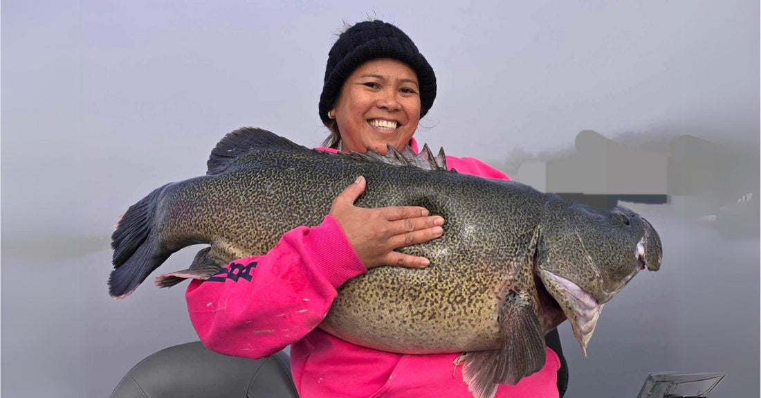 Fishing Report 28th June 2024